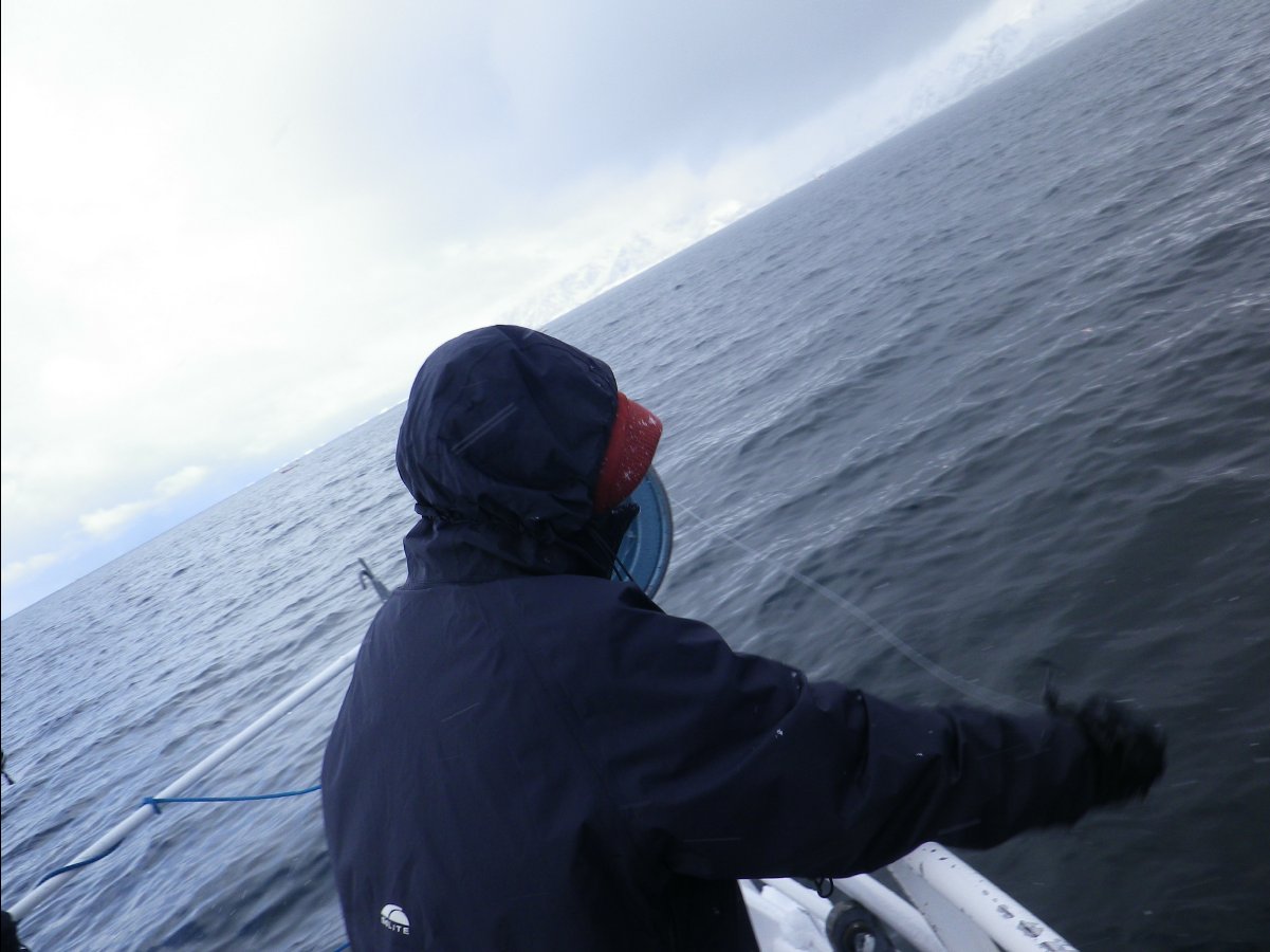 Cod Fishing44
